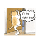 猫たちのお正月とクリスマス（英語版）（個別スタンプ：36）