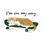 猫たちのお正月とクリスマス（英語版）（個別スタンプ：39）