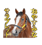 ウマのダジャレであけおめ（個別スタンプ：6）