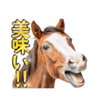 ウマのダジャレであけおめ（個別スタンプ：8）