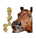 ウマのダジャレであけおめ（個別スタンプ：10）