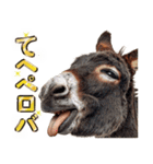 ウマのダジャレであけおめ（個別スタンプ：12）