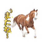 ウマのダジャレであけおめ（個別スタンプ：14）