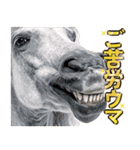 ウマのダジャレであけおめ（個別スタンプ：15）