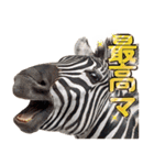 ウマのダジャレであけおめ（個別スタンプ：16）