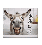 ウマのダジャレであけおめ（個別スタンプ：17）