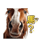 ウマのダジャレであけおめ（個別スタンプ：18）