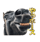 ウマのダジャレであけおめ（個別スタンプ：21）