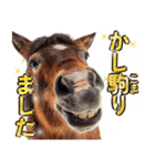ウマのダジャレであけおめ（個別スタンプ：22）