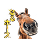 ウマのダジャレであけおめ（個別スタンプ：23）