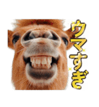 ウマのダジャレであけおめ（個別スタンプ：24）