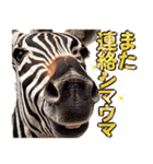 ウマのダジャレであけおめ（個別スタンプ：25）