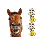 ウマのダジャレであけおめ（個別スタンプ：26）