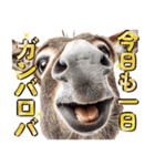 ウマのダジャレであけおめ（個別スタンプ：29）