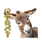 ウマのダジャレであけおめ（個別スタンプ：30）