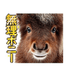 ウマのダジャレであけおめ（個別スタンプ：32）