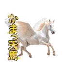 ウマのダジャレであけおめ（個別スタンプ：35）