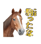 ウマのダジャレであけおめ（個別スタンプ：36）