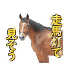 ウマのダジャレであけおめ（個別スタンプ：37）