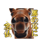 ウマのダジャレであけおめ（個別スタンプ：39）