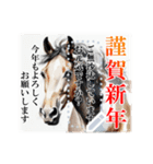 書き込める♥水彩風の馬 年賀スタンプ（個別スタンプ：5）