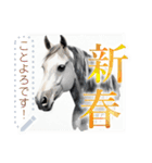 書き込める♥水彩風の馬 年賀スタンプ（個別スタンプ：13）