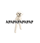 踊る！横揺れ界隈ビジョンフリーゼ/犬1（個別スタンプ：11）