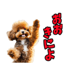 和歌山弁☆わんこ（個別スタンプ：1）