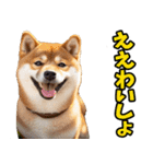 和歌山弁☆わんこ（個別スタンプ：2）
