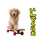 和歌山弁☆わんこ（個別スタンプ：8）