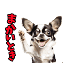 和歌山弁☆わんこ（個別スタンプ：10）