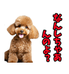 和歌山弁☆わんこ（個別スタンプ：15）