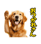 和歌山弁☆わんこ（個別スタンプ：18）