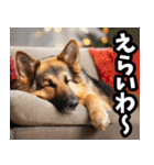 和歌山弁☆わんこ（個別スタンプ：19）