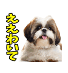 和歌山弁☆わんこ（個別スタンプ：28）