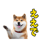 和歌山弁☆わんこ（個別スタンプ：38）