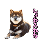 和歌山弁☆わんこ（個別スタンプ：40）