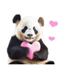 愛媛伊予弁☆パンダ（個別スタンプ：13）
