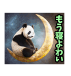 愛媛伊予弁☆パンダ（個別スタンプ：40）