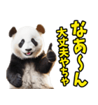 富山弁☆パンダ（個別スタンプ：2）