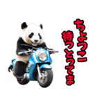 富山弁☆パンダ（個別スタンプ：6）