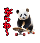 富山弁☆パンダ（個別スタンプ：11）