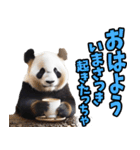 富山弁☆パンダ（個別スタンプ：13）