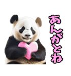 富山弁☆パンダ（個別スタンプ：20）