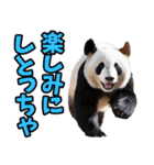 富山弁☆パンダ（個別スタンプ：24）