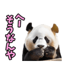 富山弁☆パンダ（個別スタンプ：26）