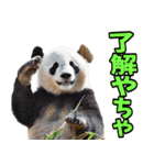 富山弁☆パンダ（個別スタンプ：30）