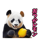 富山弁☆パンダ（個別スタンプ：35）