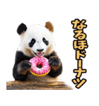 富山弁☆パンダ（個別スタンプ：36）
