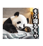 富山弁☆パンダ（個別スタンプ：40）